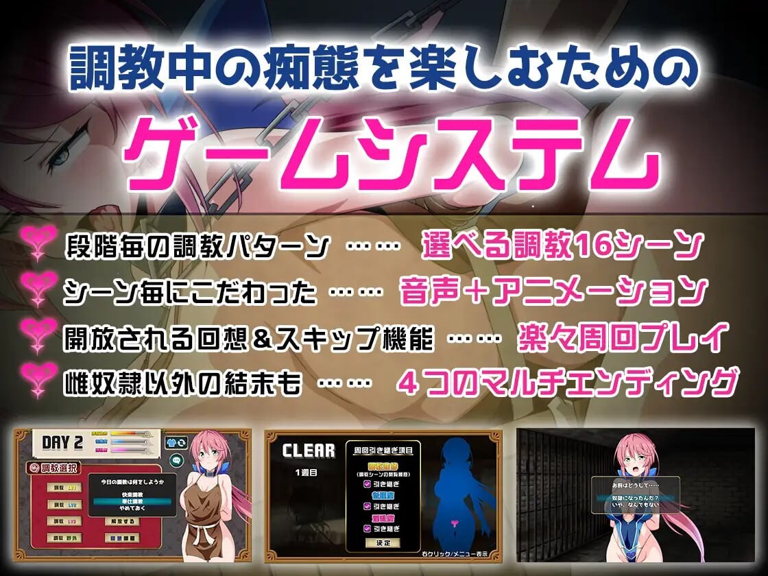 [ADV汉化PC动态]骑士安娜 奴隶调教记录  騎士アンナ 奴隷調教記録[FM/BD 591M]-第2张-游戏-次元小屋-ACG交流分享论坛