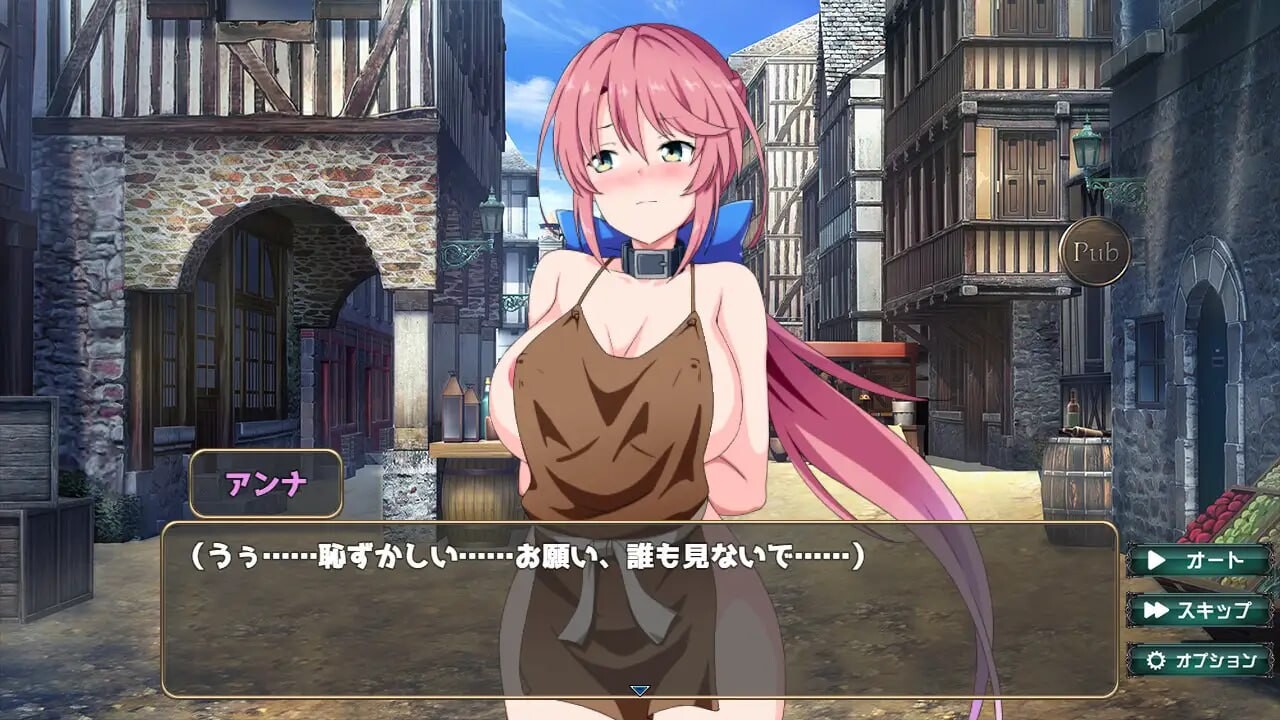 [ADV汉化PC动态]骑士安娜 奴隶调教记录  騎士アンナ 奴隷調教記録[FM/BD 591M]-第6张-游戏-次元小屋-ACG交流分享论坛
