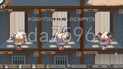6-6.jpg