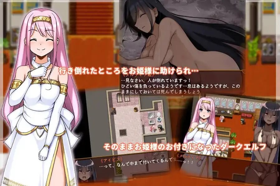 [RPG汉化PC+安卓]被捡到的精灵的感激之情  [FM/BD 524M]-第3张-游戏-次元小屋-ACG交流分享论坛