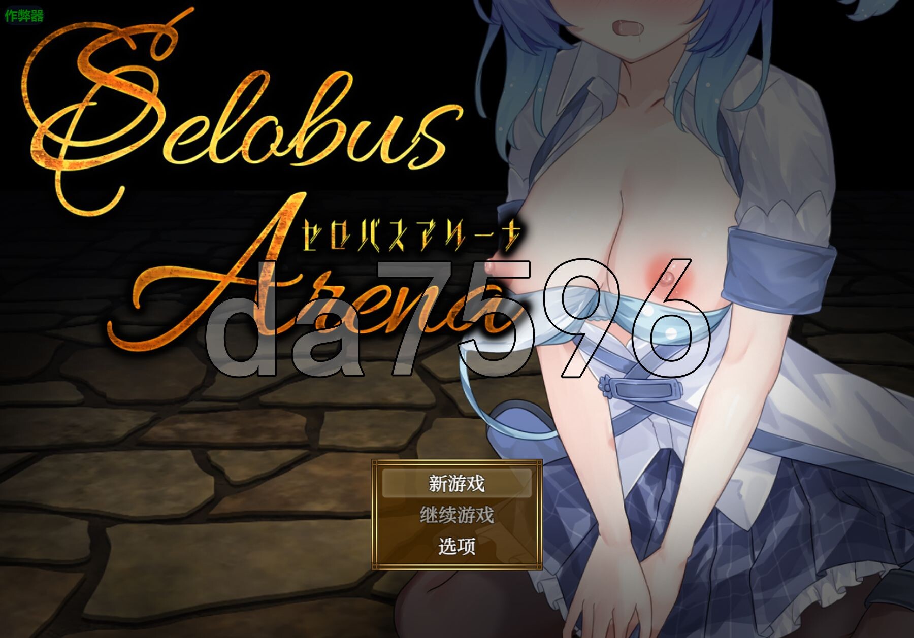 [日式RPG/新安卓] 赛洛布斯竞技场 SelobusArena PC+安卓 内嵌AI汉化版+作弊码 [3.90G/多空转百度微云]