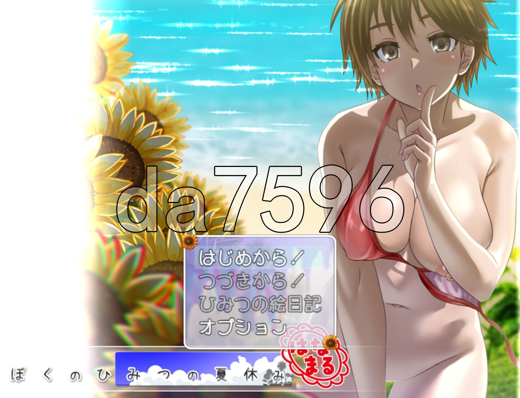 我秘密的暑假时光 ぼくのひみつの夏休み はなまる ver1.0.6 AI汉化版 [1.20G/多空转百度微云]