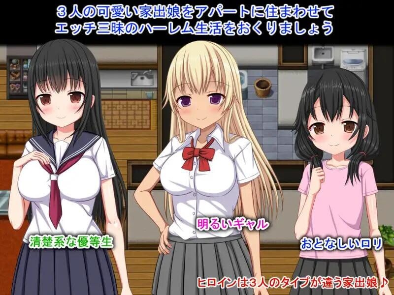 [RPG汉化PC安卓]离家少女与后宫性生活 [FM/BD 915M]