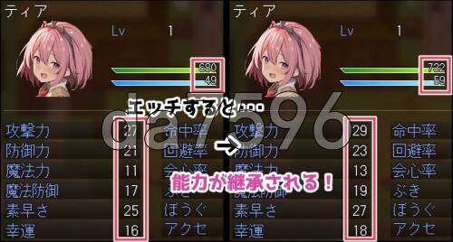 5-5.jpg