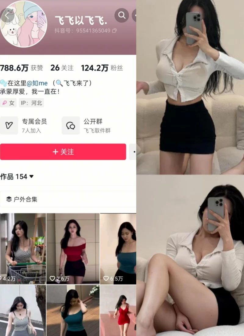 图片[1]-[视频/步兵/合集] 抖音健身婊博主：飞飞以飞飞  各平台赞助内容合集 [407P 1372P] [1.2G]-嘤嘤怪之家