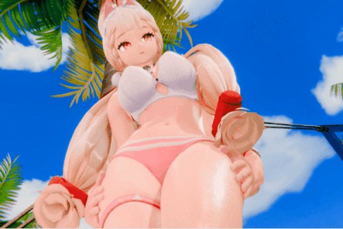 DSFC.gif