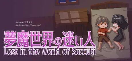 [PC][ACT/PC/官中/2D]沉沦梦魔世界 夢魔世界の迷い人 Ver1.0.3 官中步兵版 [574.0MB]-芒果游戏库