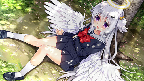 has_0150jp-001.jpg