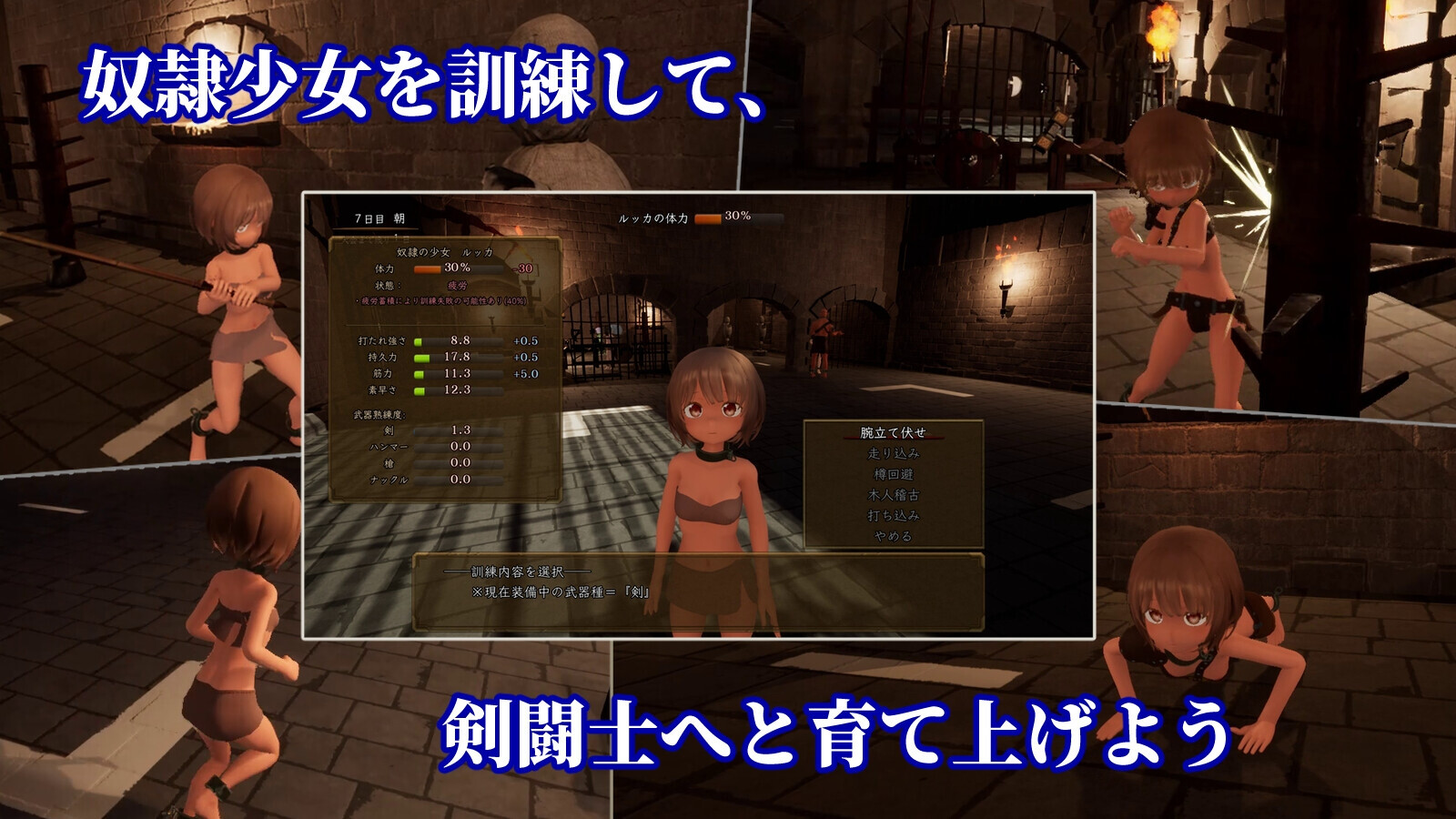 [3D养城/战斗H/更新/PC] 首枷地卢咖～遇望与荣耀地竞计场～首枷のルッカ ～遇望と栄广のコロシアム～v2.2.0 升柔版 [2.7G/FM]