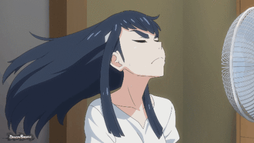 26.gif