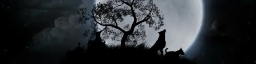 781111_Screenshot_2.webp