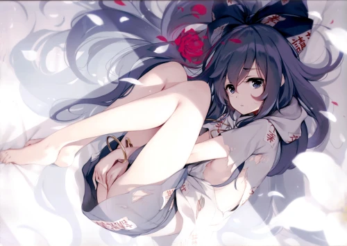 C95 01
