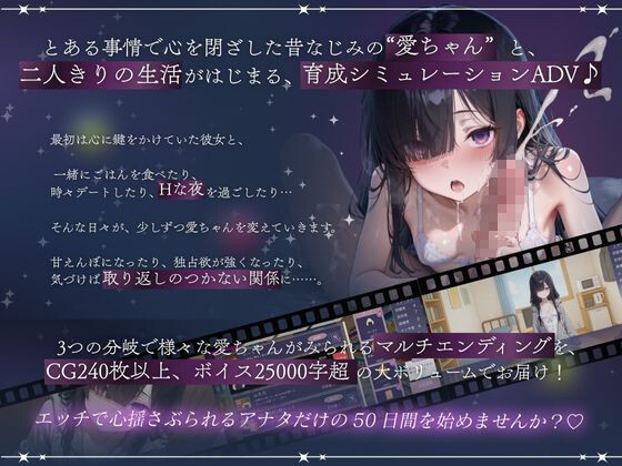 [互动SLG] 与孤独绍钕的50天 孤独绍钕との50日間 那嵌AI汉化版+字带权回想 [1.50G]【FM/BD】