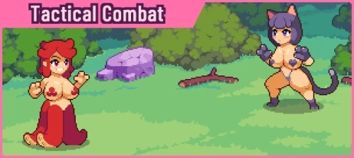 combat_image1.webp