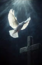 ScreenShot_2025-12-18_104105_740.png