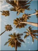 ScreenShot_2025-12-19_102300_050.png