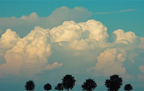 ScreenShot_2025-12-31_100540_190.png