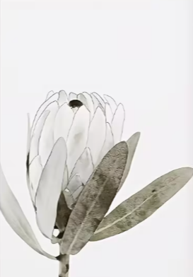 ScreenShot_2026-01-20_100424_778.png