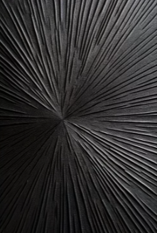 ScreenShot_2026-01-30_144255_739.png