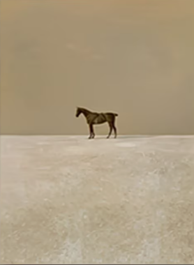 ScreenShot_2026-01-30_145655_131.png