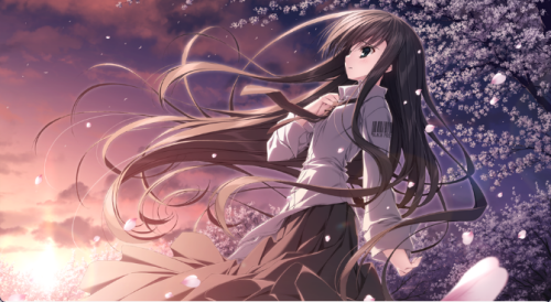 df012df9-5572-48f3-9408-4eef2ab1d17a.png