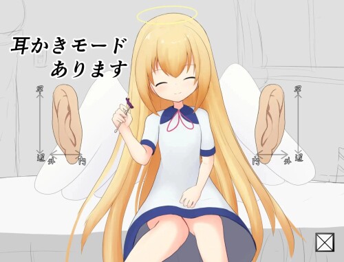 14013SLG1.jpg