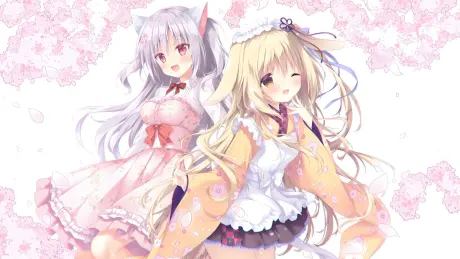 banner-mini-1.webp