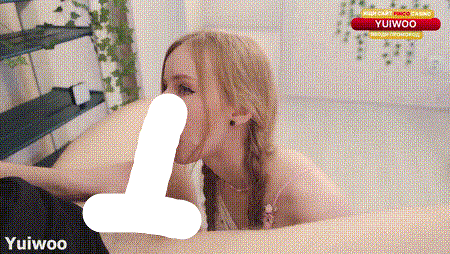 bbd 16