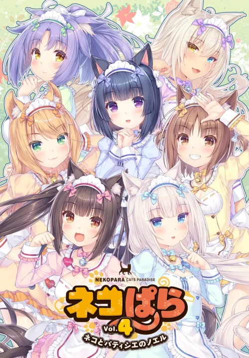 4.webp