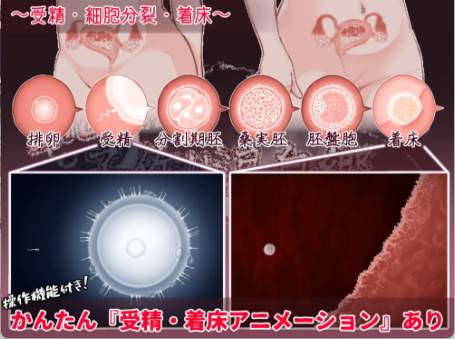 ba11c495-5a38-4958-aebf-856531738e74.png