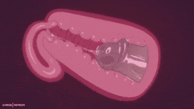 6aa1667ae1c374.84894337.gif