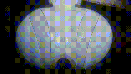 bia 1