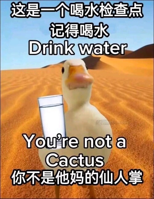 8E497A6C30F88560C63FCEE628D684A6.jpg