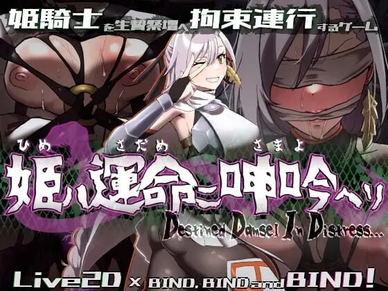 [RPG/官中无码/CV]命运束缚的公主 v1.0.5 姫ハ運命ニ呻吟ヘリ Destined Damsel In Distress