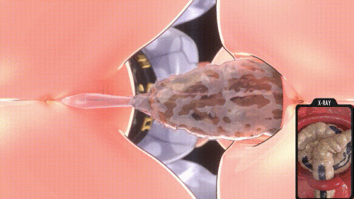 1-26.gif