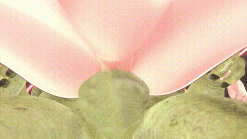 1-98c76efd7bea35939.gif