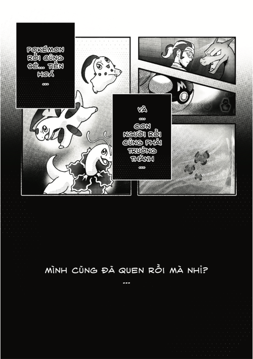 16 THE LAST BLOOM