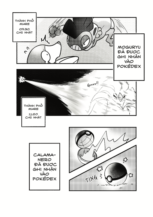 19 THE LAST BLOOM