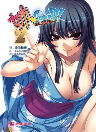 [ADV汉化PC存档]姉Summer!2 ～ねえさま [FM/BD 600M]